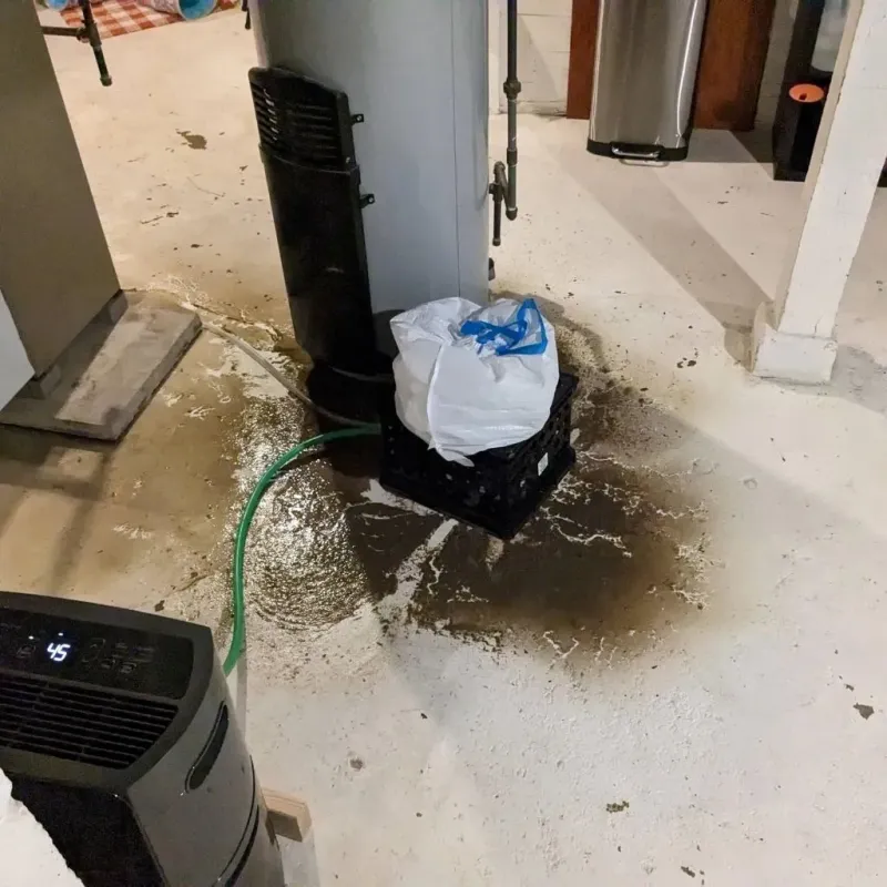 Sewage Backup Cleanup Service in Chama, NM